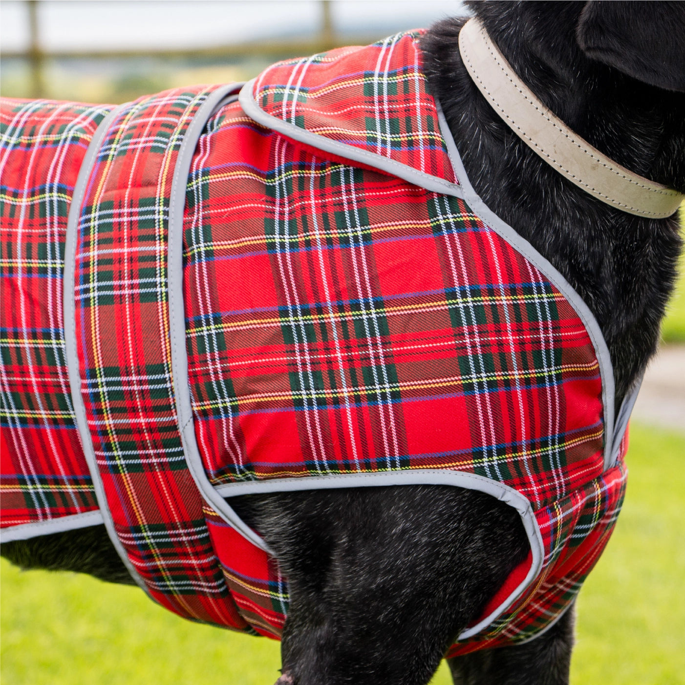Tartan Highland Jas – klassieke rood-tartan stijl & warmte