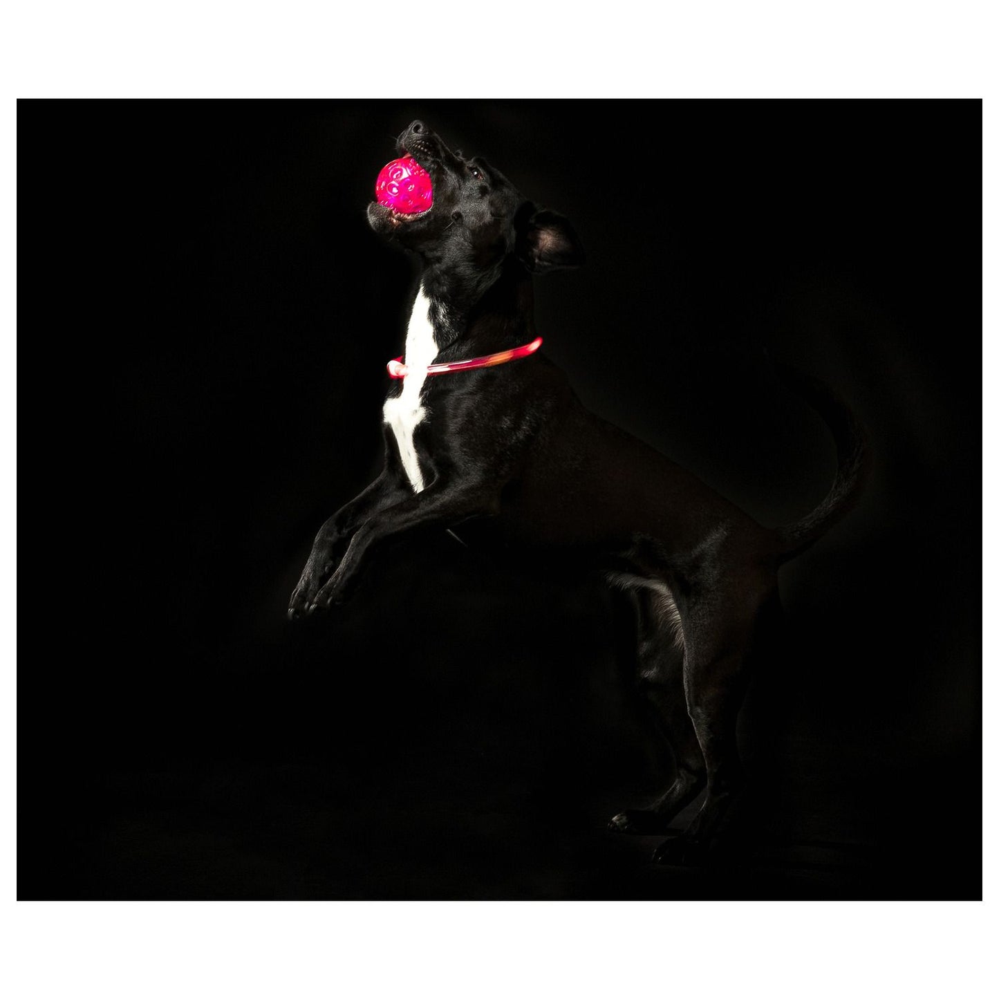 Trixie knipperbal zonder geluid drijvend van TPR 6 cm