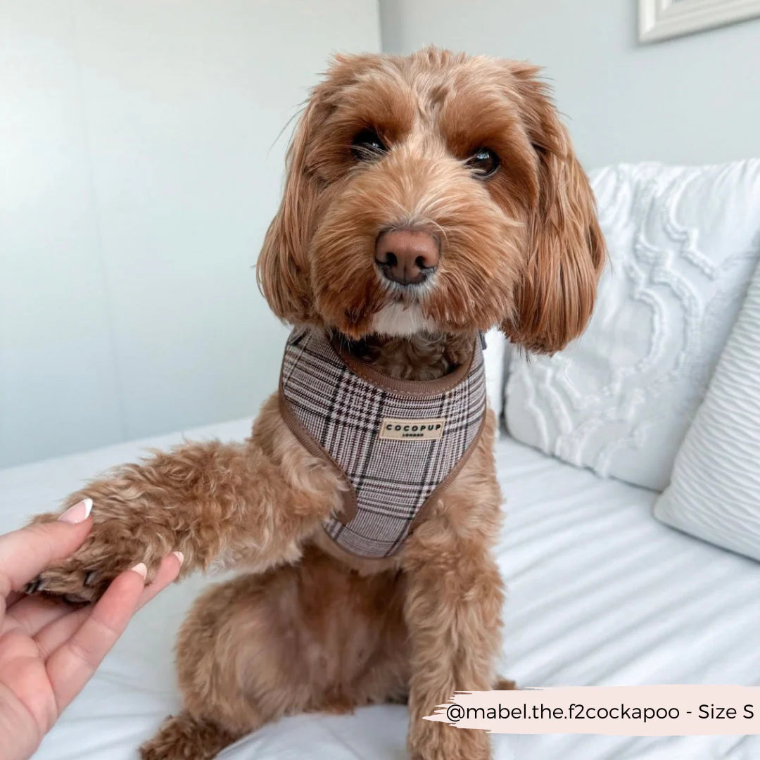Cocopup London Pup Plaid (verstelbaar hondentuig)