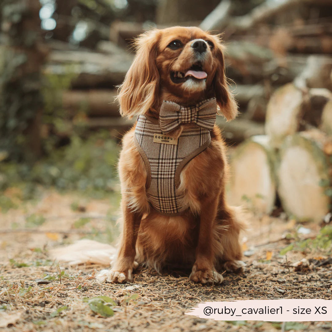 Cocopup London Pup Plaid (verstelbaar hondentuig)