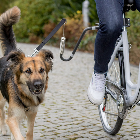 Fiets set voor middelgrote en grote honden