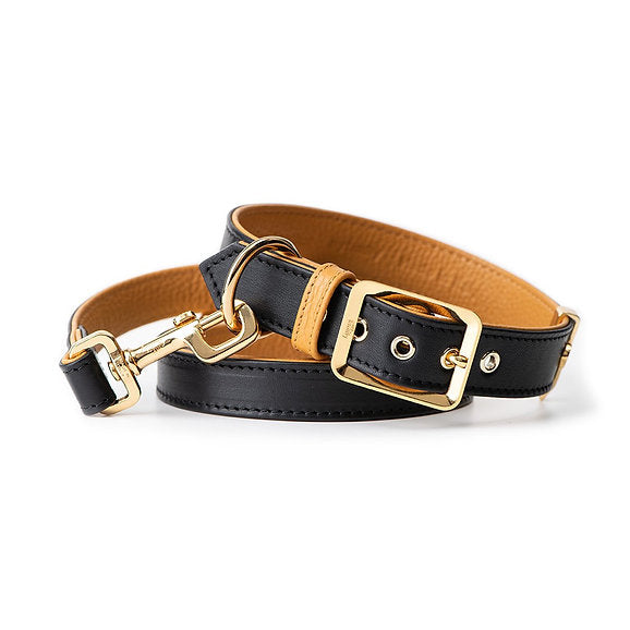 Leren halsband zwart met gouden hardware