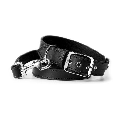 Klassieke leren hondenhalsband zwart