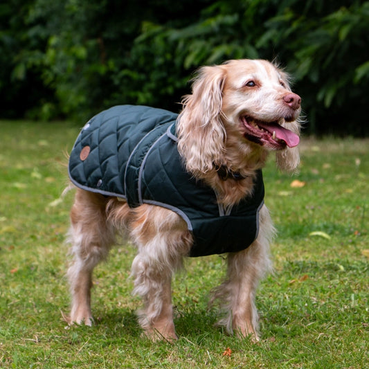 Heritage winterjas hond groen met fleece voering”