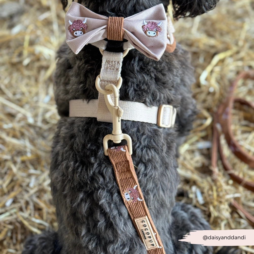 Cocopup London - the Highland Cow Lead | stijlvolle hondenlijn