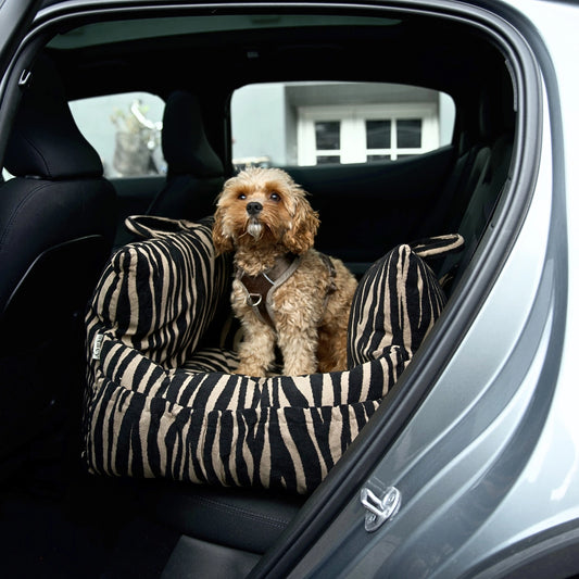 STAËY Lara 3-in-1 Honden Autostoel Zebra 2.0