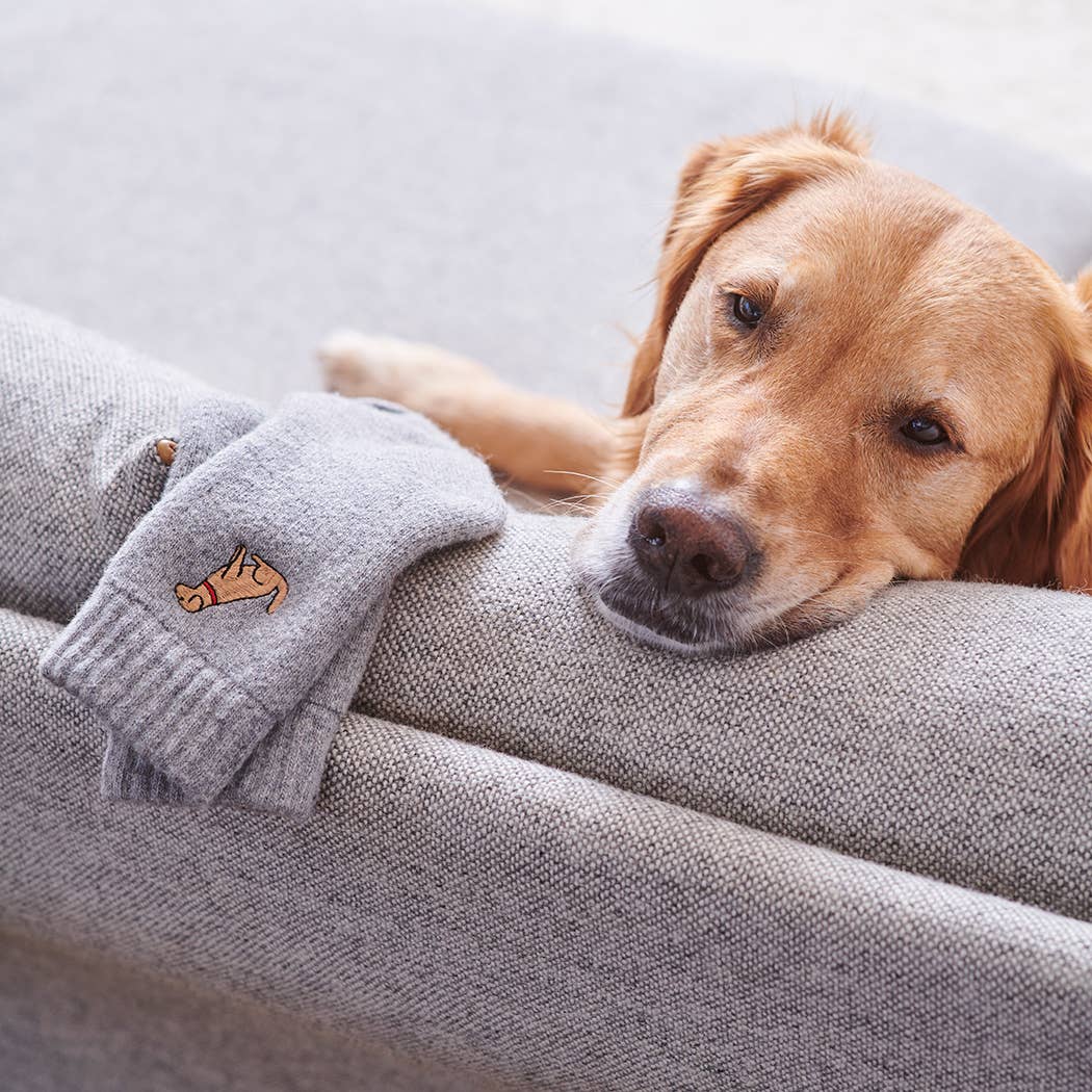 Sweet William | Wandelsokken voor hondenliefhebbers - Golden Retriever