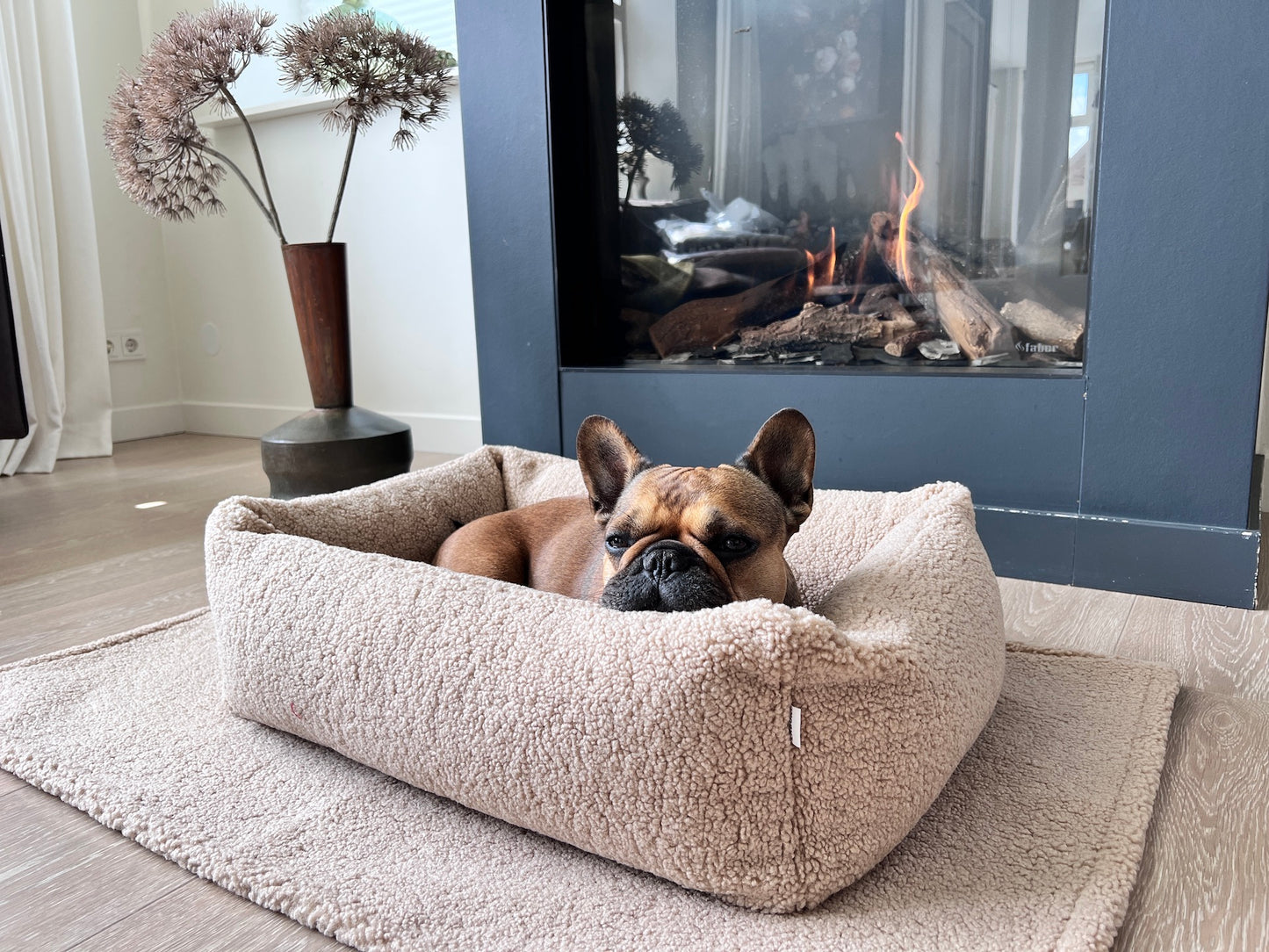 Kleine hond rust comfortabel in de Laboni Teddy hondenmand nude