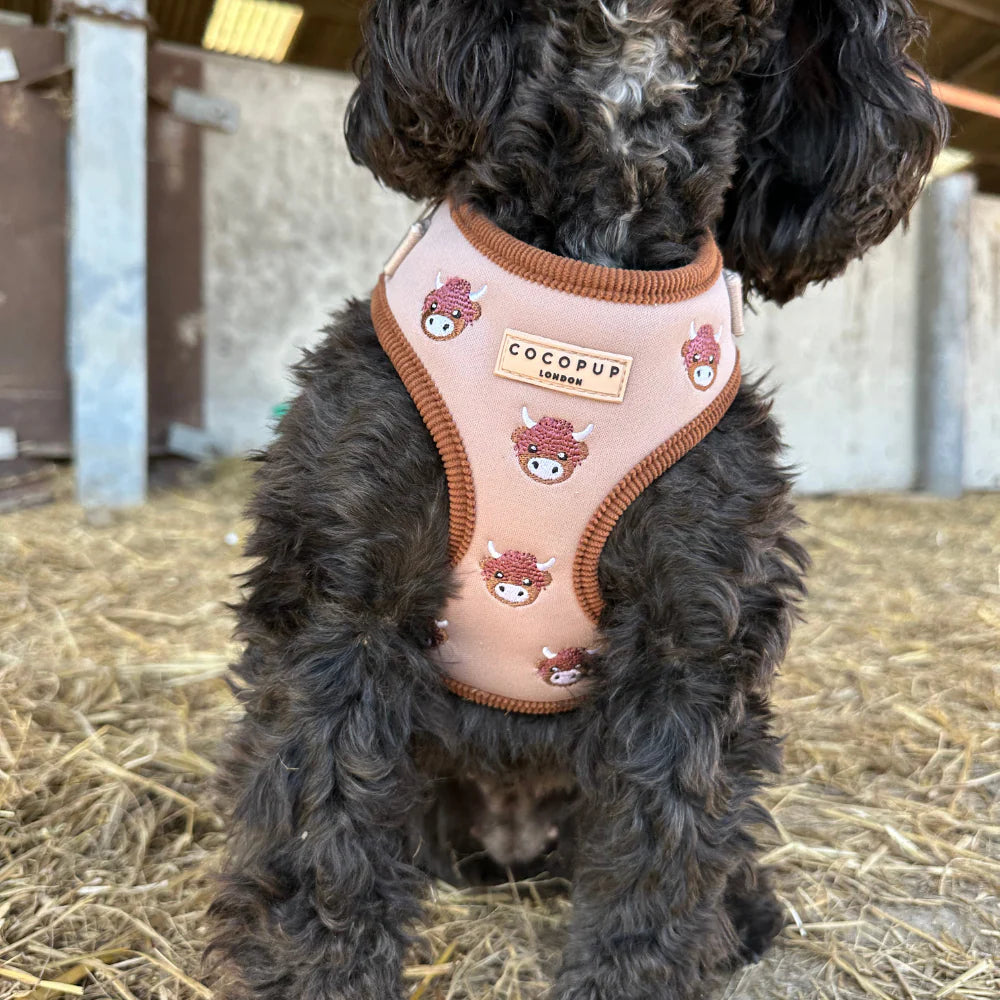 Cocopup London Harold the Highland Cow (verstelbaar Hondentuig)