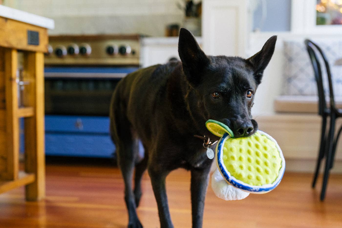 P.L.A.Y. Barktender Collection Pup-arita Hondenspeeltje met Pieper, Knisper en Touw