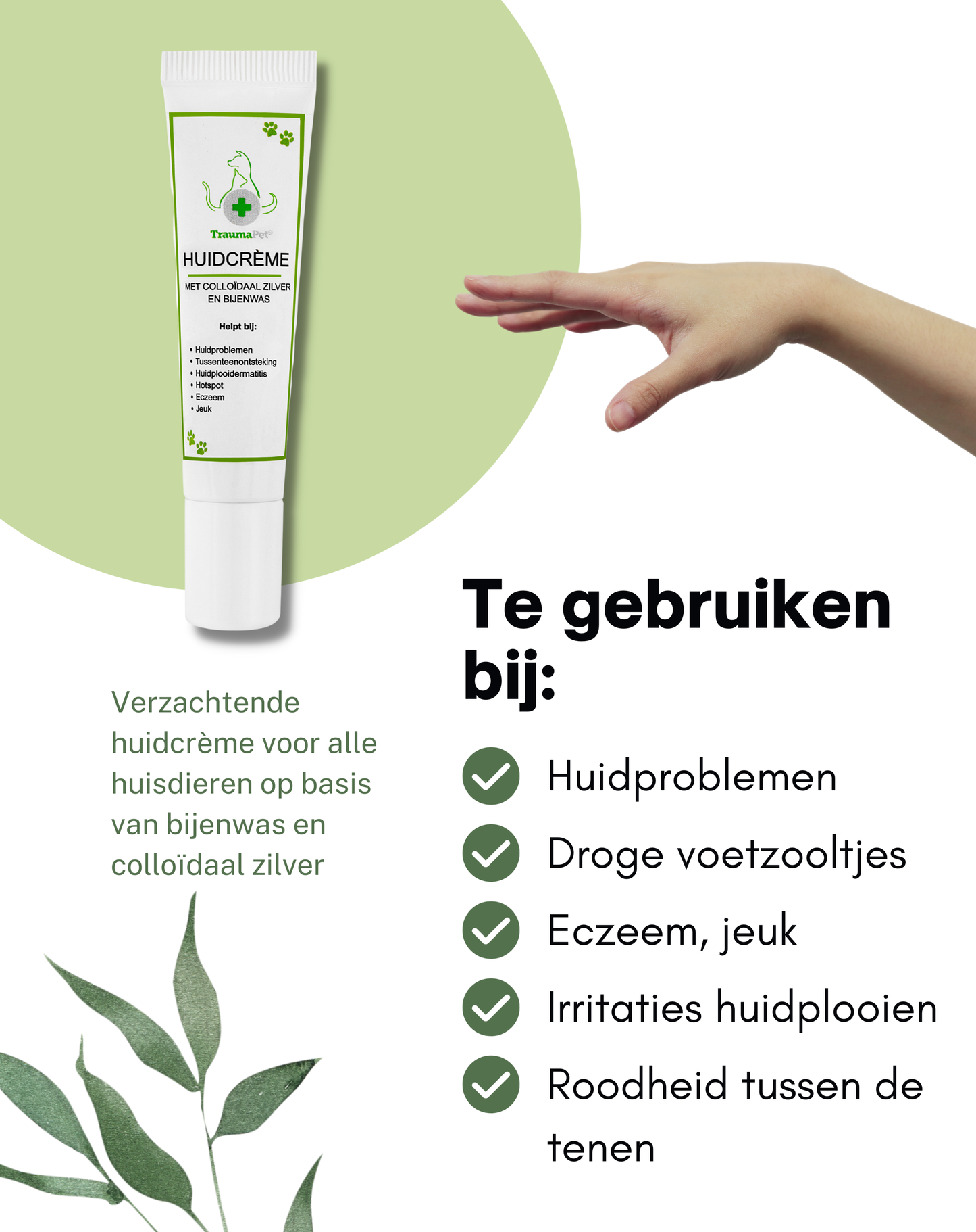 Huidcrème met colloïdaal zilver en bijenwas | Dieren