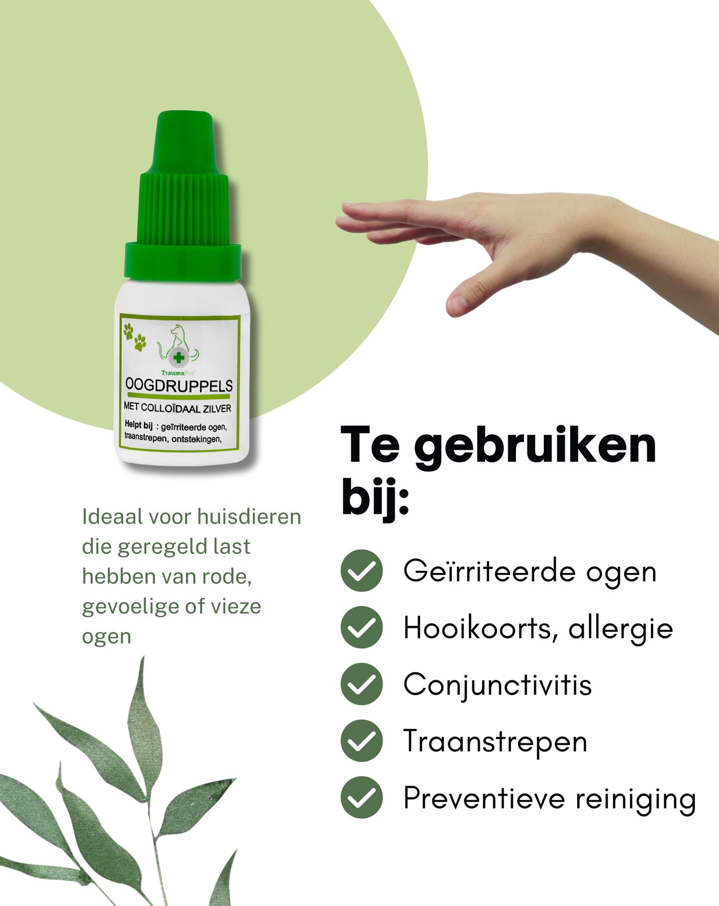 TraumaPet - Oogdruppels met colloïdaal zilver voor dieren