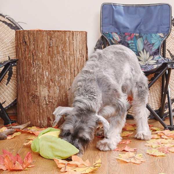 Hugsmart Camping Pups Corn Hondenspeeltje met Piep, Kraak en Snackvak