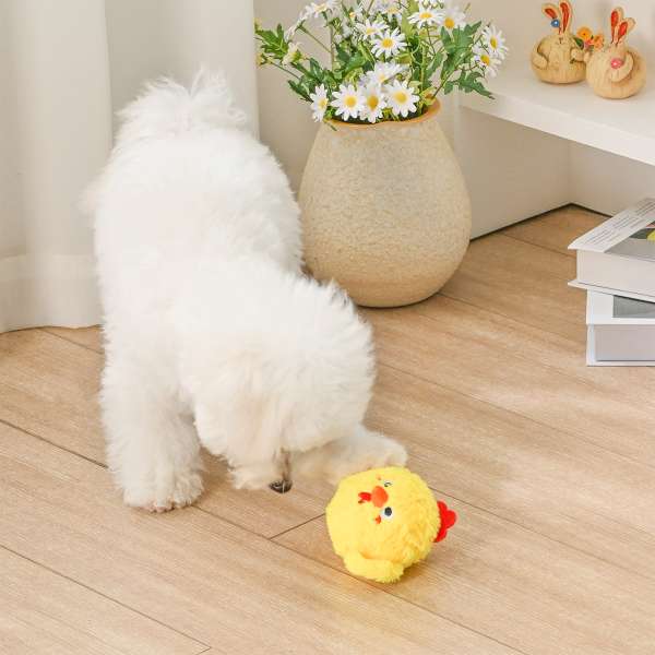 Farm Friendz Chick Ball | 2-in-1 Pluche Bal met Stekelbal (Hugsmart)