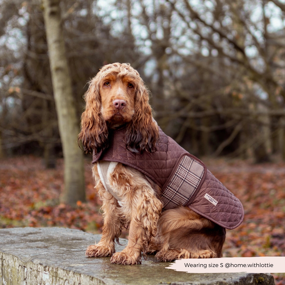 Cocopup London Gewatteerde Puppy Hondenjas Ruit – Teddyvoering – XS t/m M
