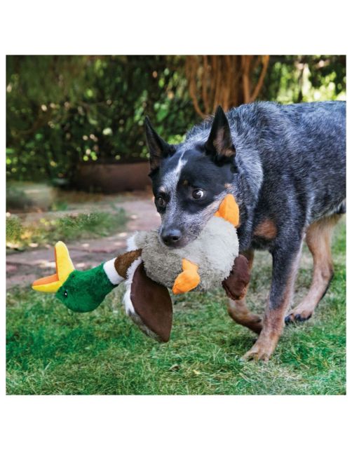 KONG Shakers Honkers Duck – Pluche Eend Hondenspeelgoed met Lage Pieper