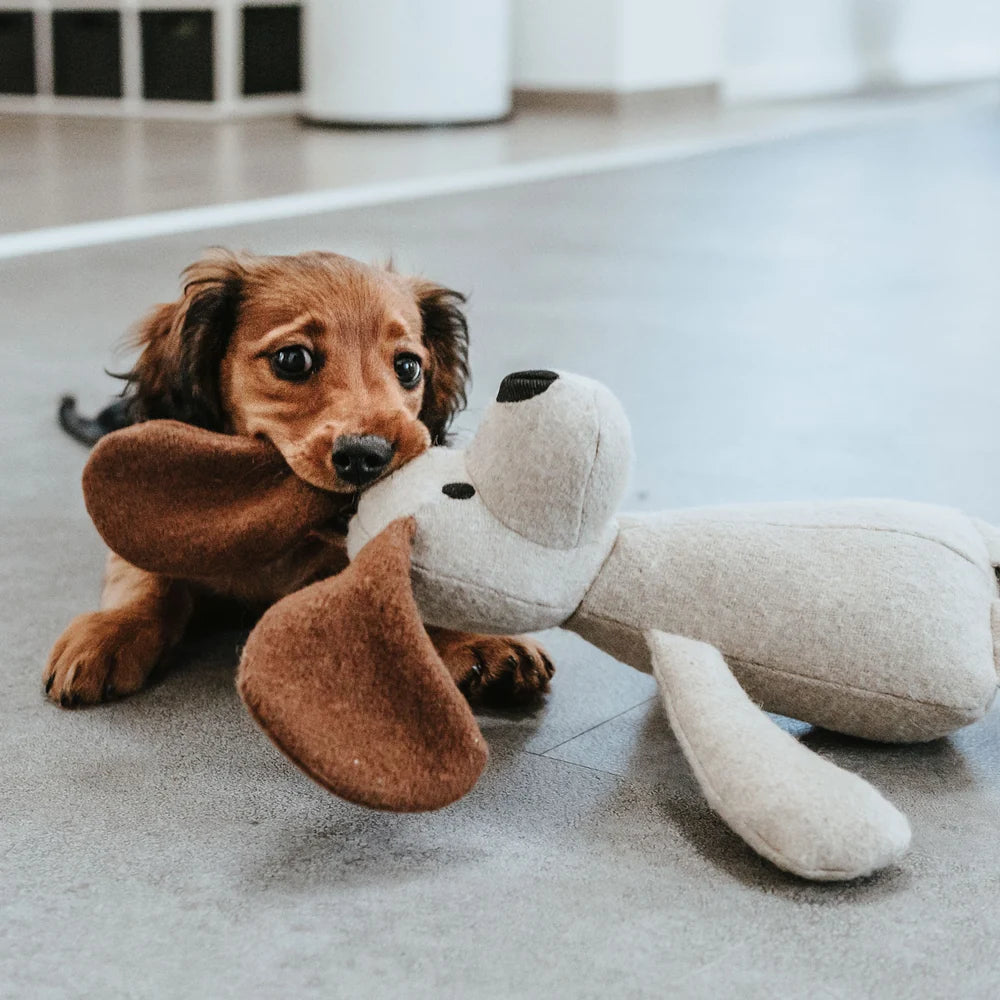 HUNTER Marle Hondenspeelgoed – Duurzame Knuffel Zonder Pieper