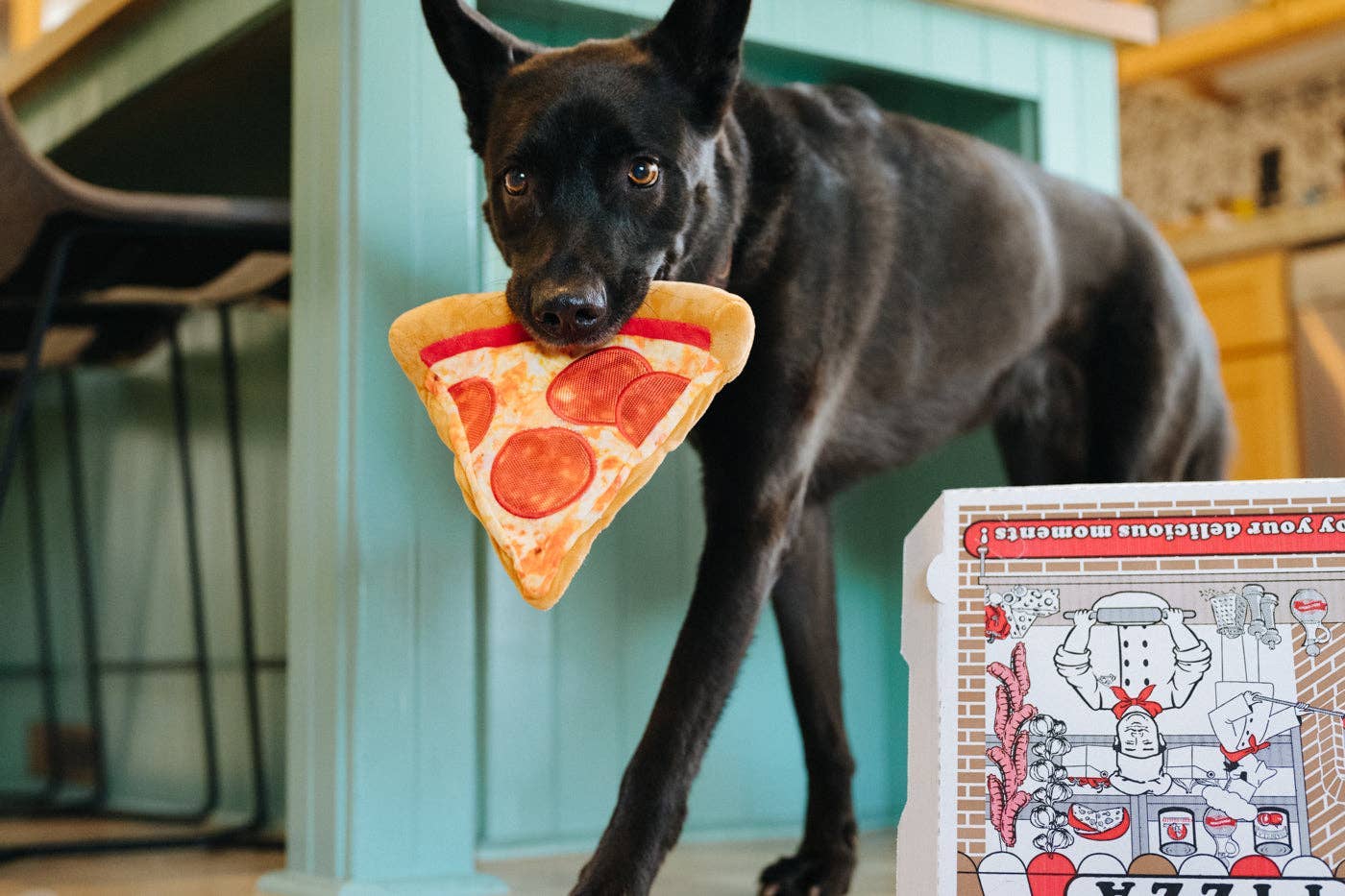P.L.A.Y Snack Attack Puppy-roni Pizza – hondenspeelgoed met piepers