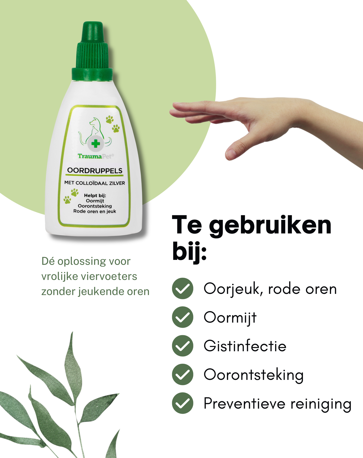TraumaPet - Oordruppels met colloïdaal zilver voor dieren