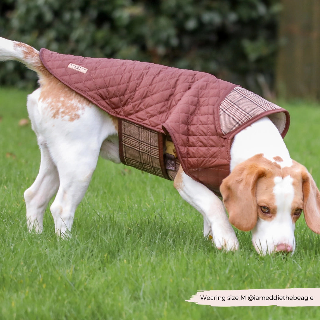 Cocopup London Gewatteerde Puppy Hondenjas Ruit – Teddyvoering – XS t/m M