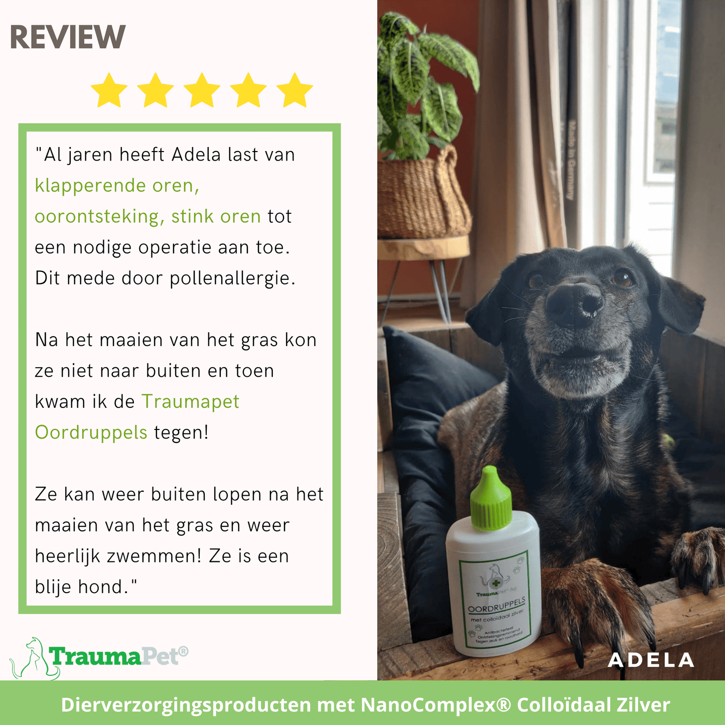 TraumaPet - Oordruppels met colloïdaal zilver voor dieren