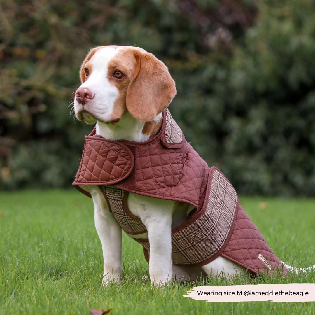 Cocopup London Gewatteerde Puppy Hondenjas Ruit – Teddyvoering – XS t/m M