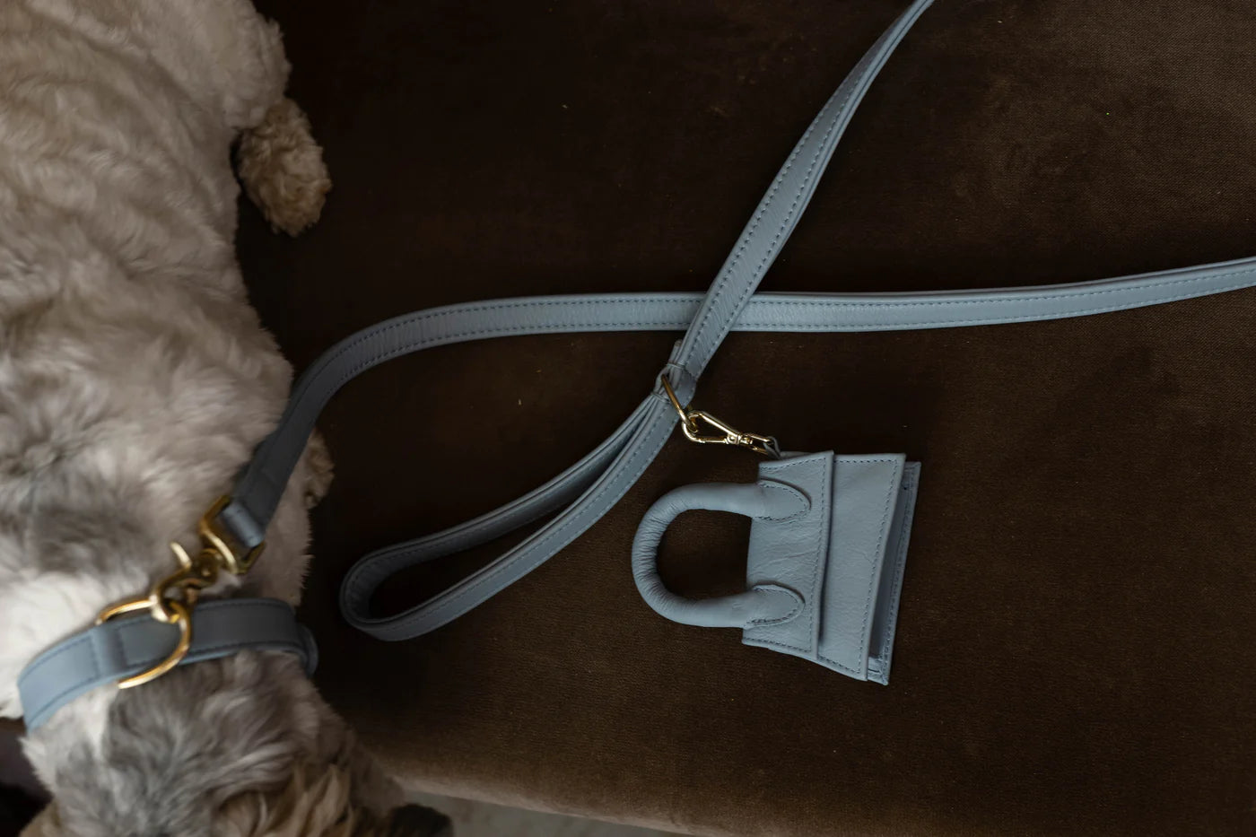 The Dog Musthaves Hondenlijn – Klassiek Blauw met messing afwerking