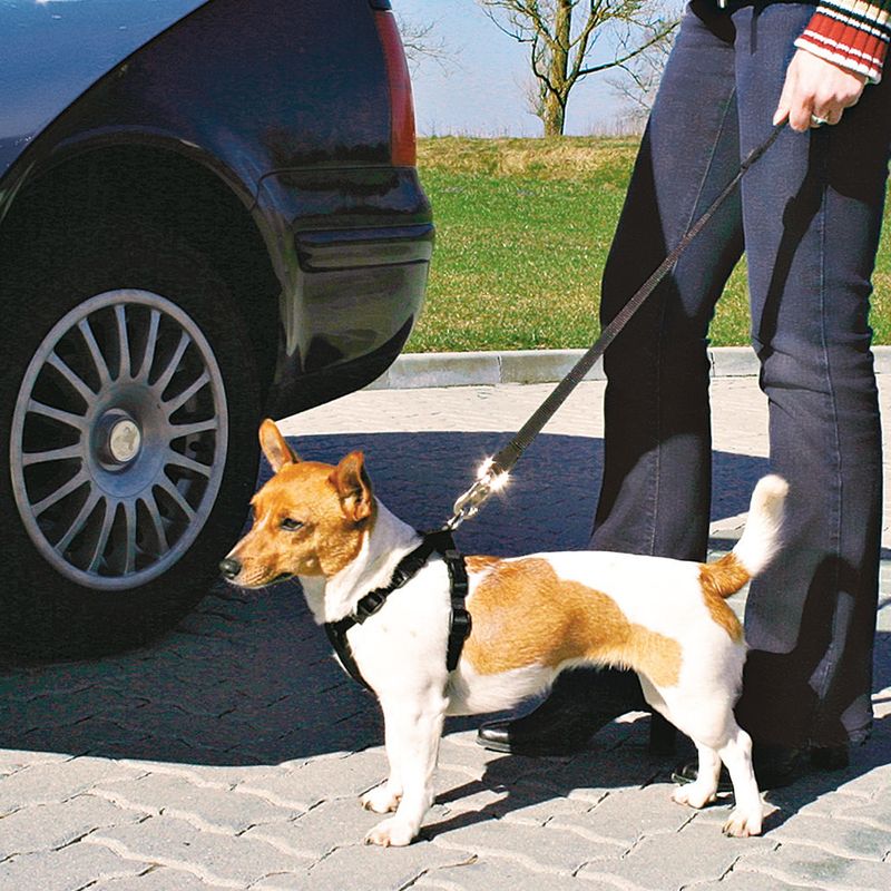 Trixie Autotuig + gordel – Extra veiligheid voor onderweg
