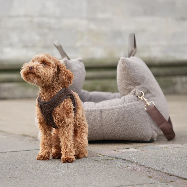 STAEY Saga Teddy Step-in Hondentuig – Espresso