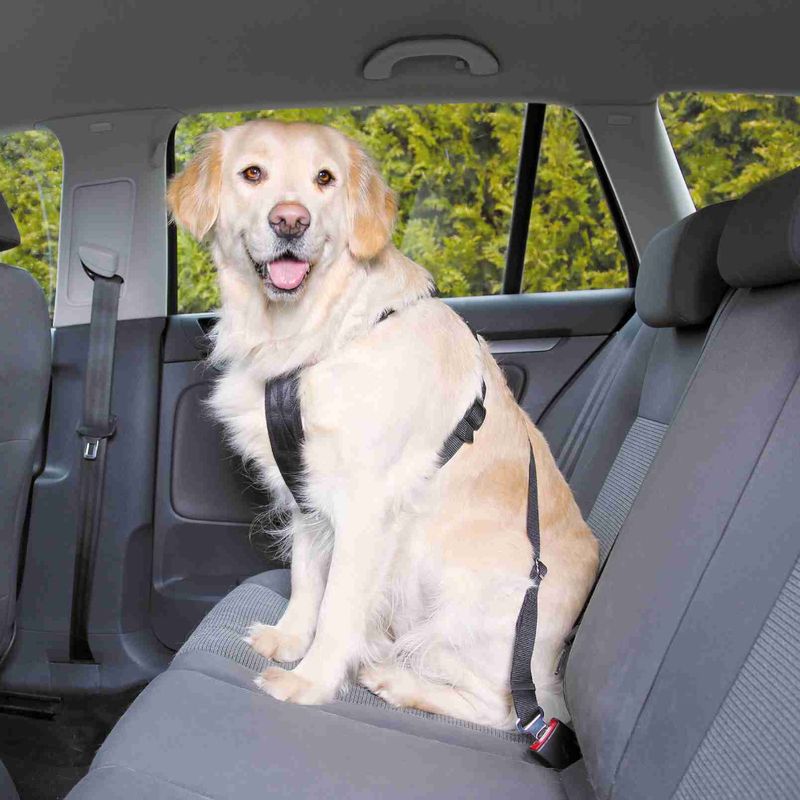 Trixie Autotuig + gordel – Extra veiligheid voor onderweg