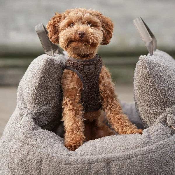 STAEY Saga Teddy Step-in Hondentuig – Espresso