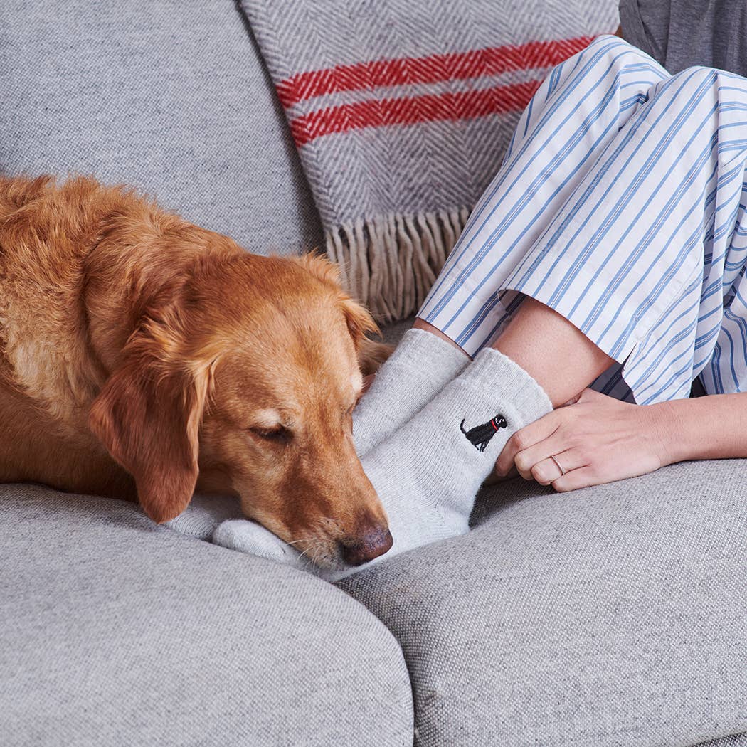 Sweet William | Wandelsokken voor hondenliefhebbers - Zwarte Labrador