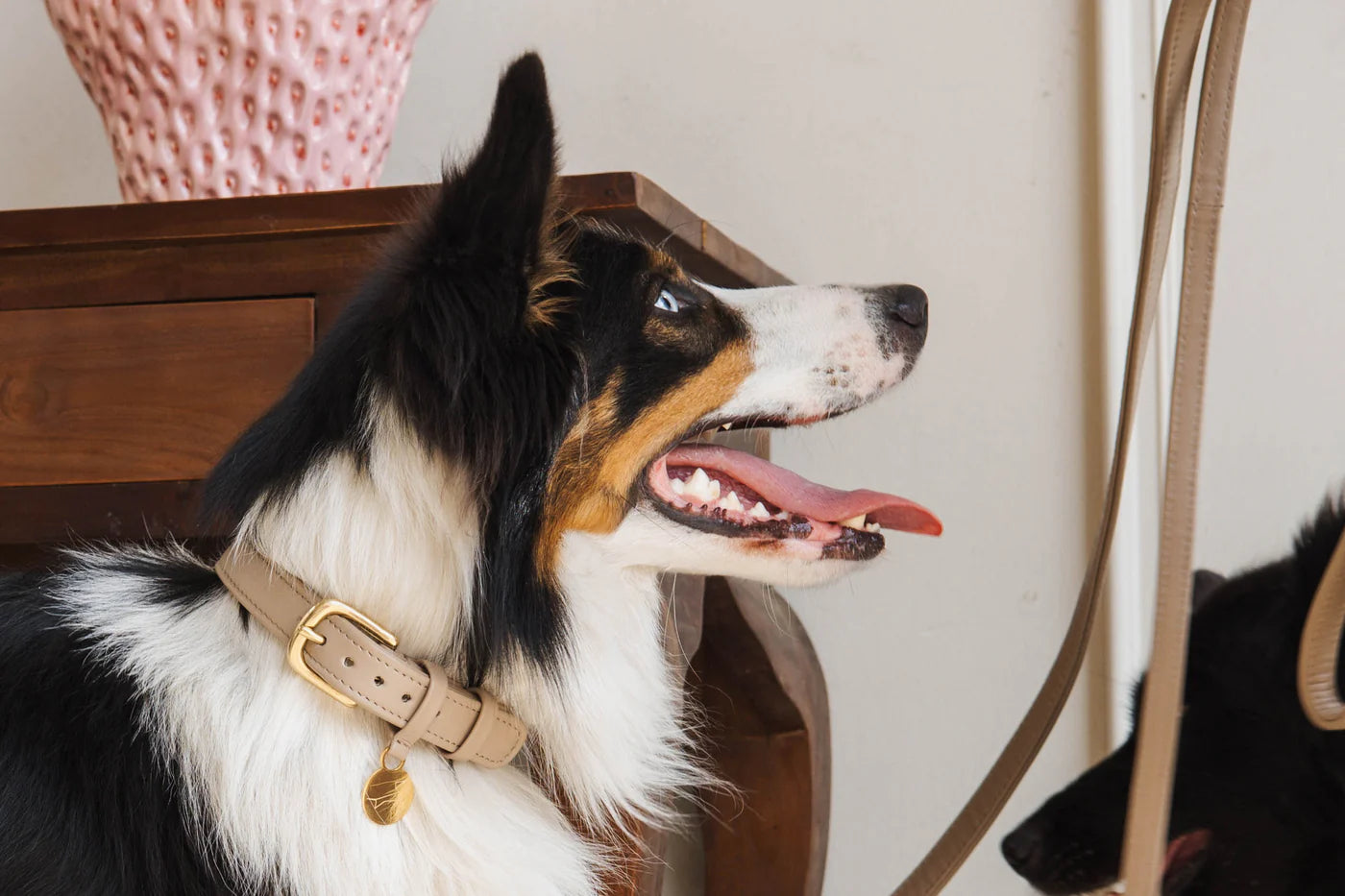 Hondenhalsband Luxe Leer met Naam Penning – Klassiek (Zand)