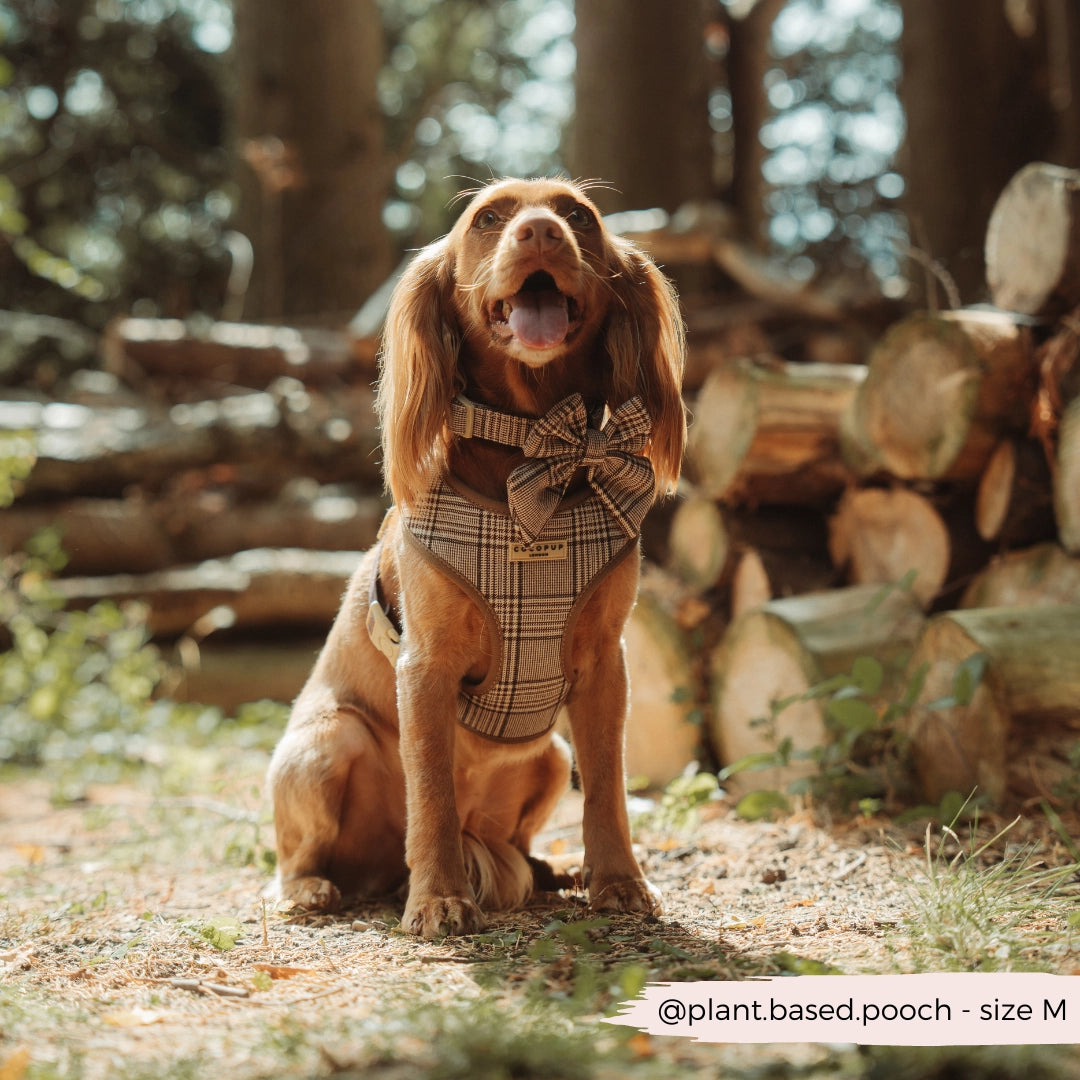 Cocopup London - Pup Plaid Halsband