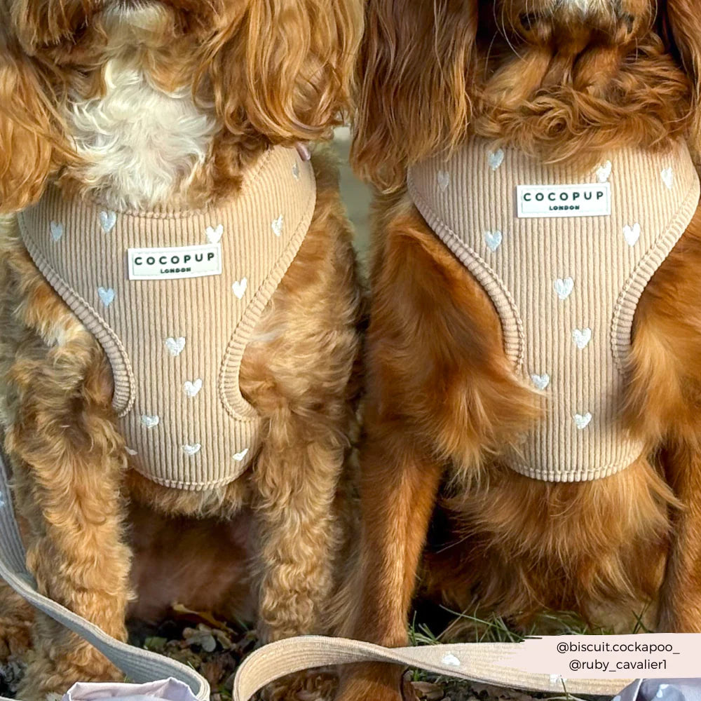 Cocopup London Chai Hearts (verstelbaar Hondentuig)
