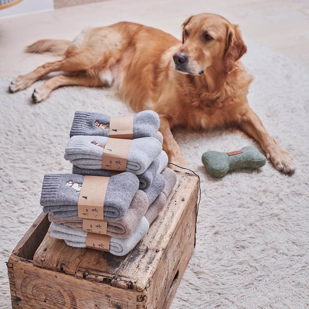 Sweet William | Wandelsokken voor hondenliefhebbers - Bruine Labrador