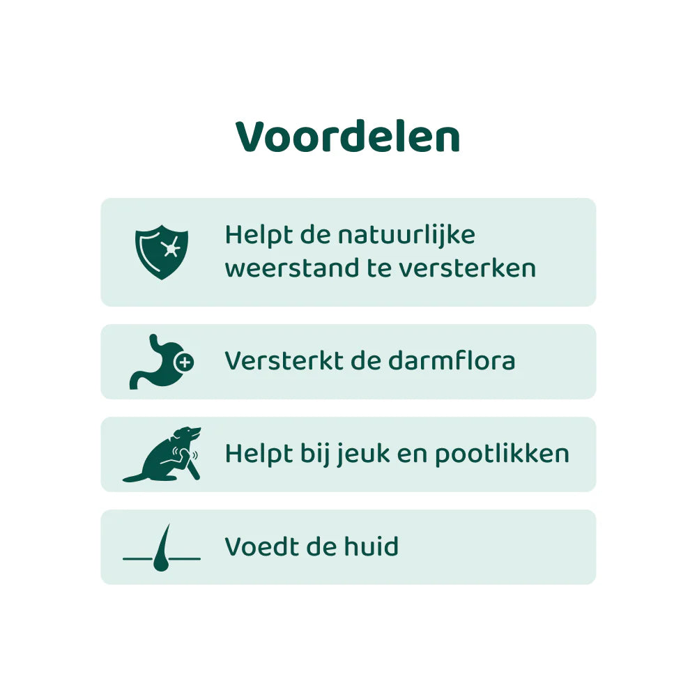 DogSuppy Probiotica Forte Anti-Jeuk – Supplement voor Honden bij Jeuk, Pootlikken & Allergieën (60 Chewies)