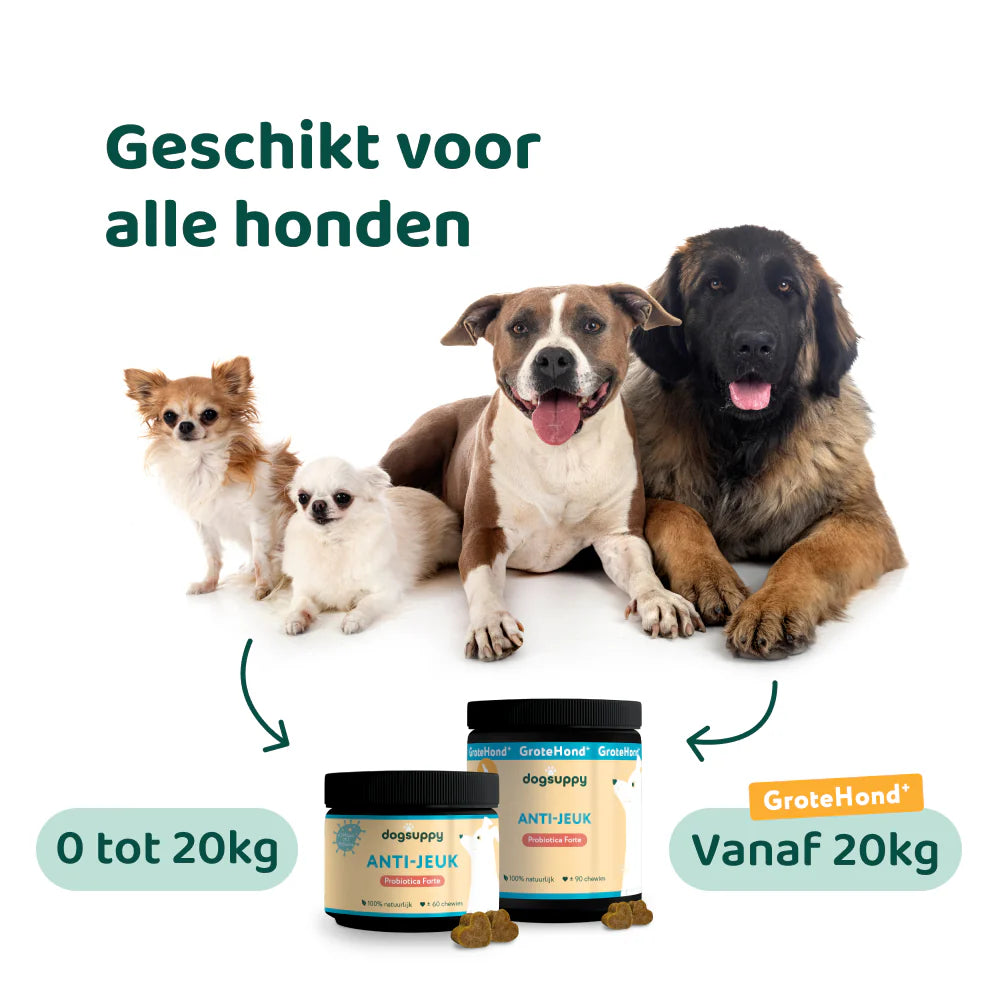 DogSuppy Probiotica Forte Anti-Jeuk – Supplement voor Honden bij Jeuk, Pootlikken & Allergieën (60 Chewies)