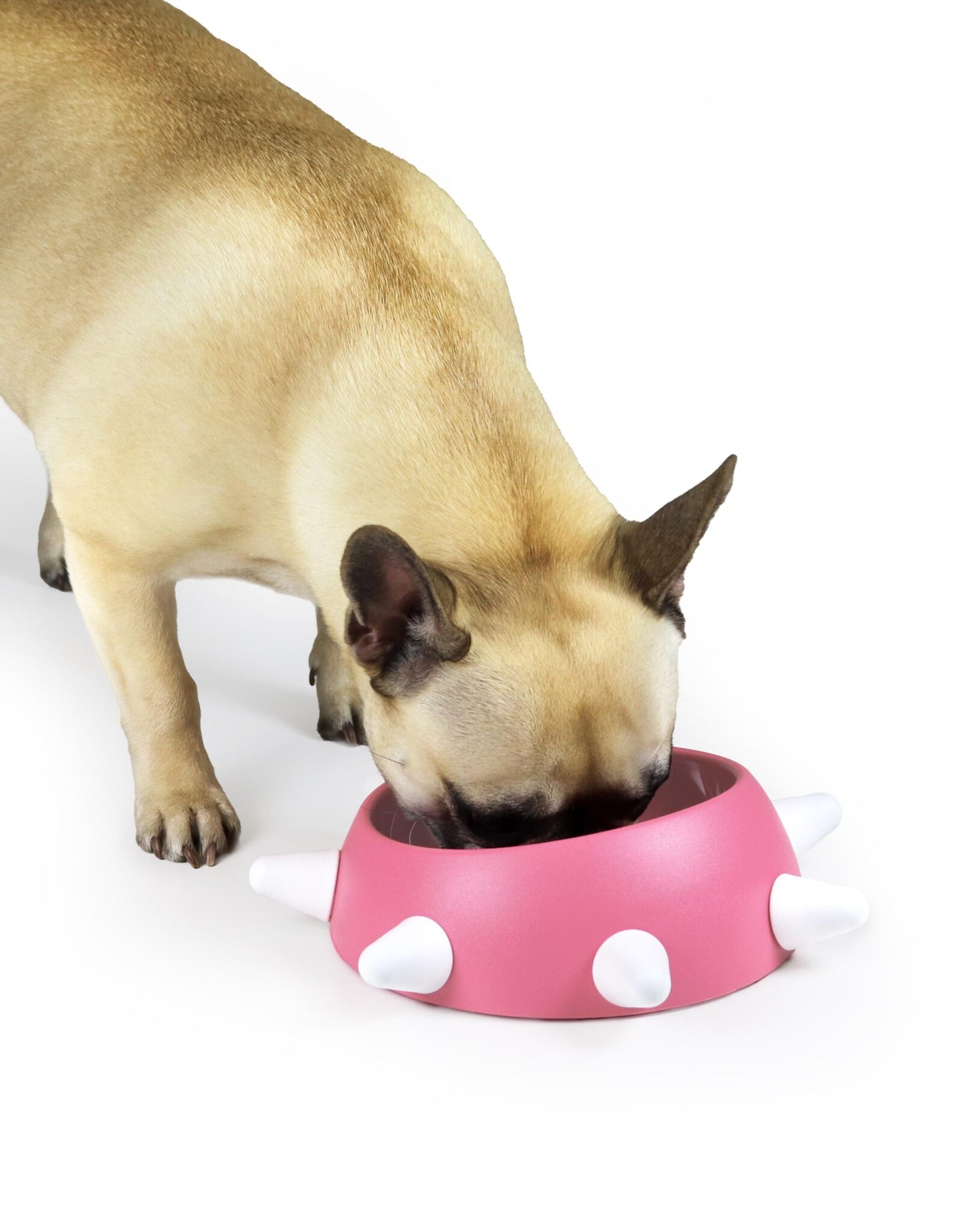 United Pets Spikes Bak – Roze & vormgegeven comfort