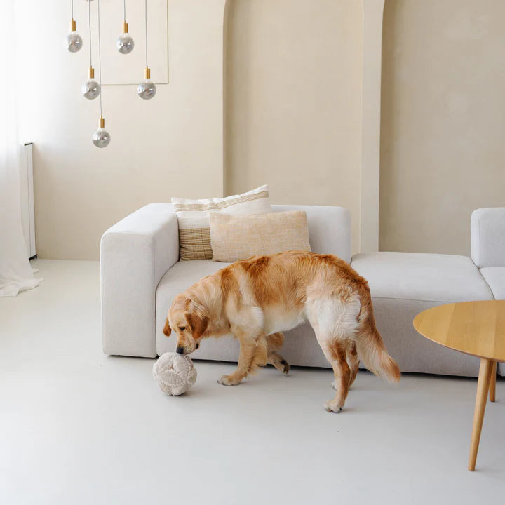 District 70 BOBBY Snuffelbal voor Honden Mentale Uitdaging en Anti-Verveling