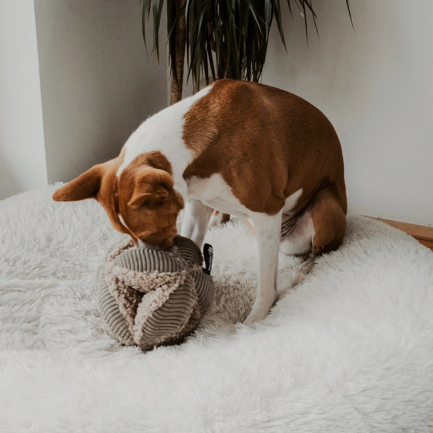 District 70 BOBBY Snuffelbal voor Honden Mentale Uitdaging en Anti-Verveling