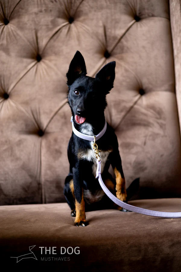 The Dog Musthaves Hondenlijn – Klassiek Lila met messing afwerking