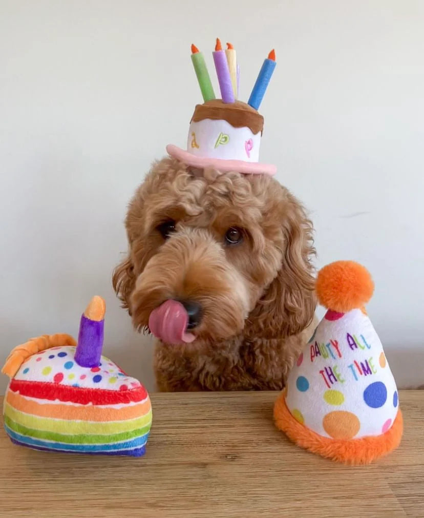 Haute Diggity Dog Happy Birthday Pawty Hat Hondenspeeltje met Pieper