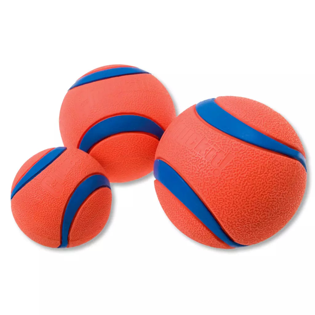 Chuckit! Ultra Ball M 6cm | Stuiterbal die Drijft (Apporteren)