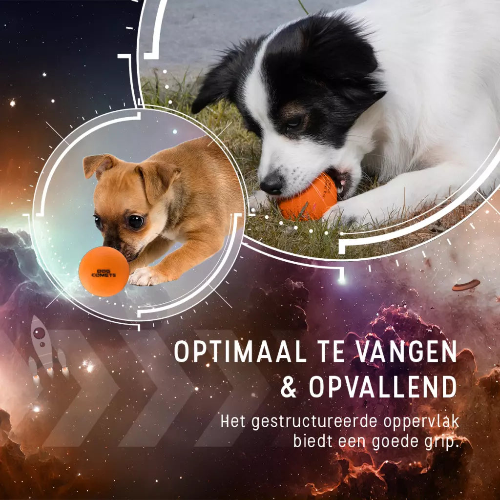 Dog Comets Stardust Groen M 2-pack | Stuiterbal Ø6 cm (Drijvend)