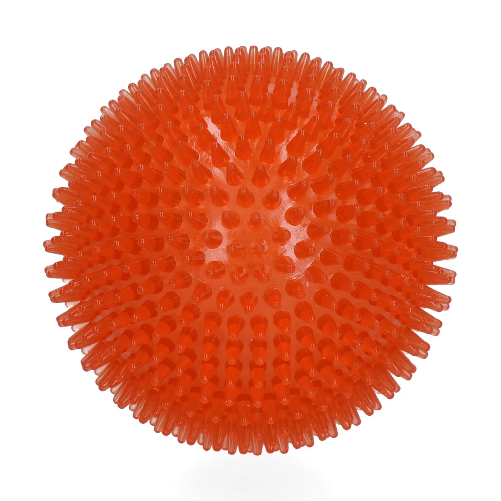 Dog Comets Exoplanet Egelbal Oranje | Drijft & Met Pieper