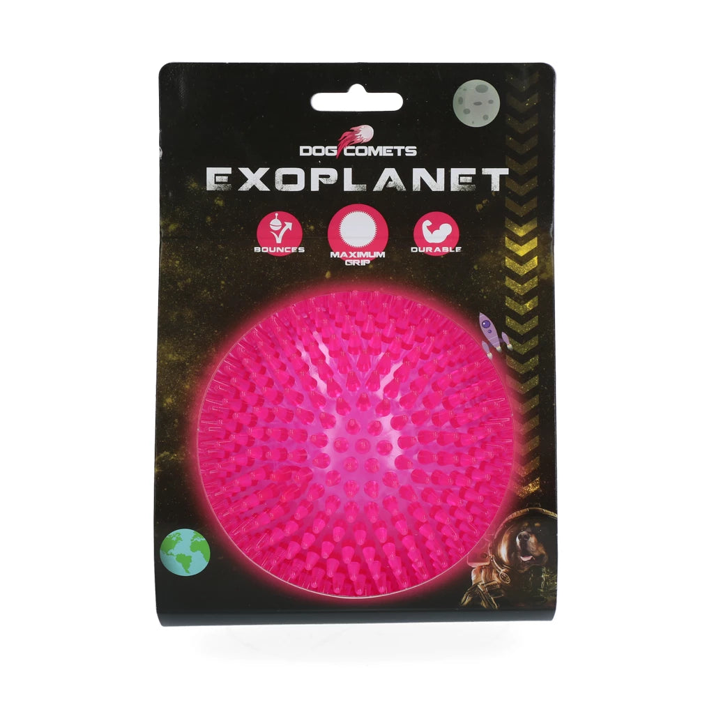 Dog Comets Exoplanet Egelbal Roze | Drijft & Met Pieper