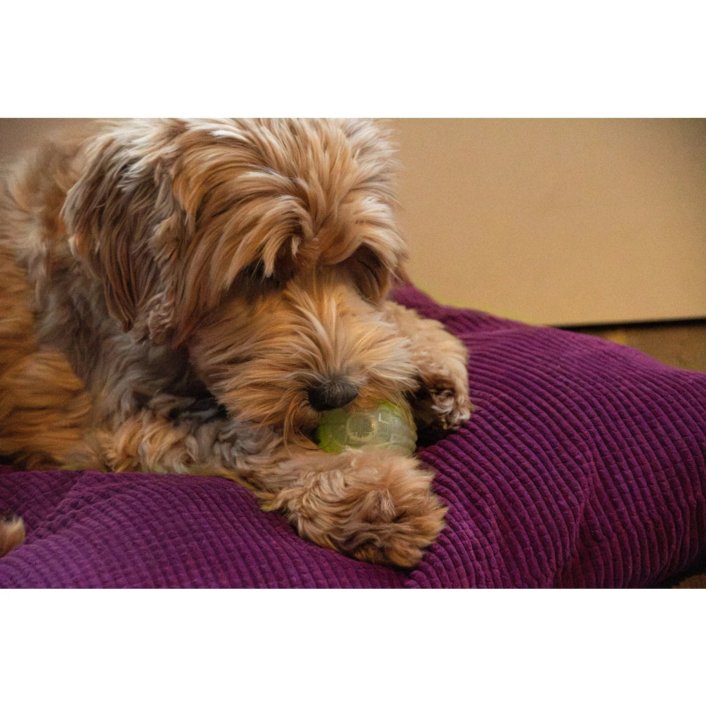 Dog Comets Glow in the Dark Moon Bal Roze Hondenspeeltje