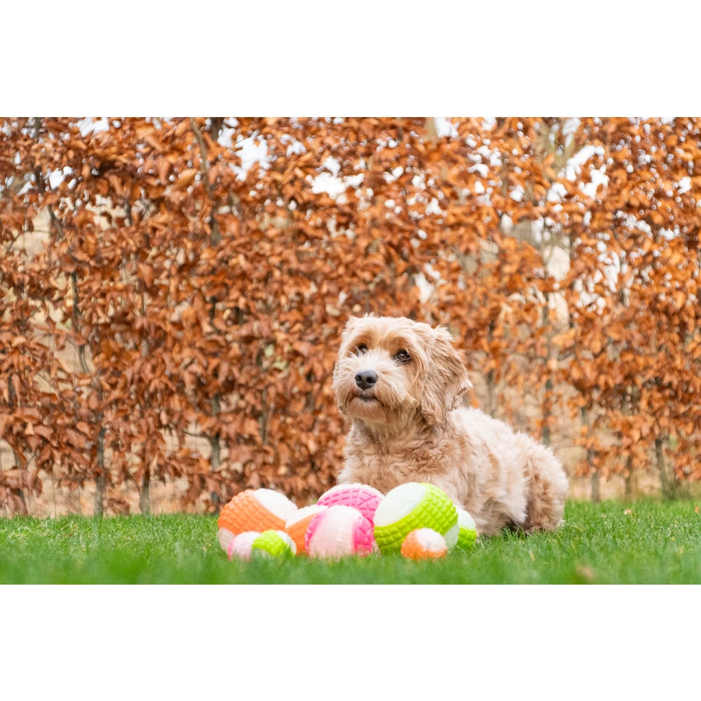 Dog Comets Glow in the Dark Moon Bal Roze Hondenspeeltje