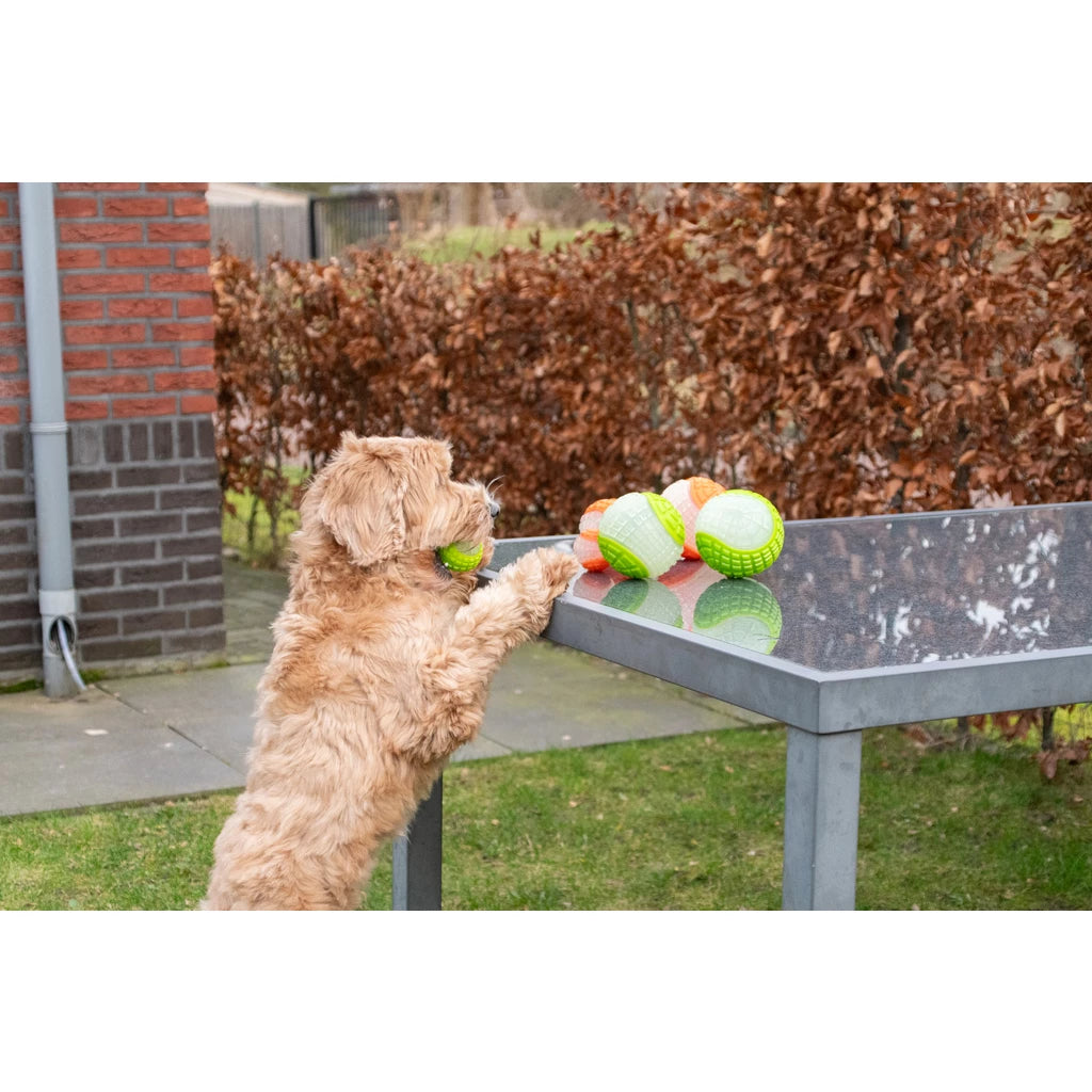 Dog Comets Glow in the Dark Moon Bal Roze Hondenspeeltje